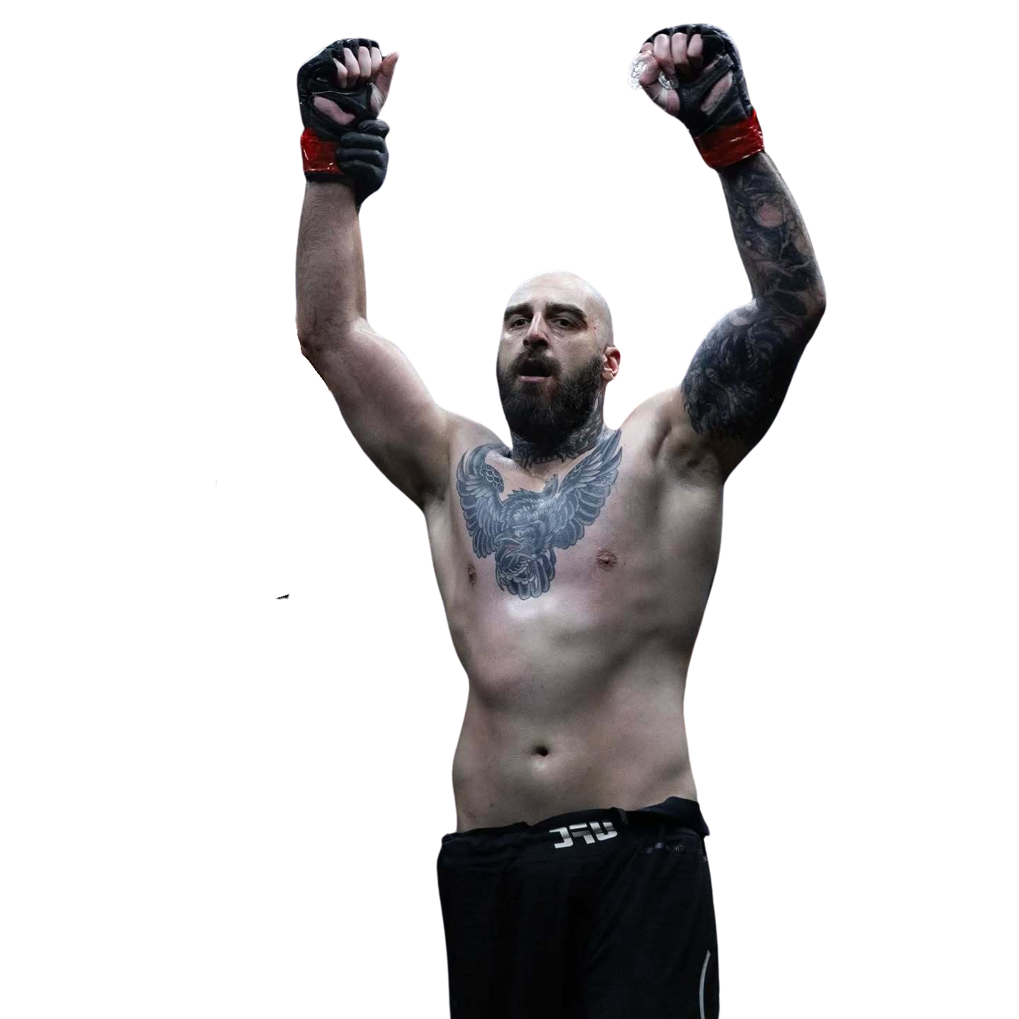 untitled design (13)